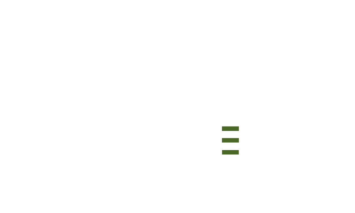 Monkey Medias Logo